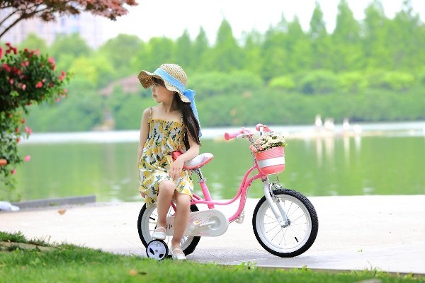 Велосипед Royal Baby Little Swan Steel 14